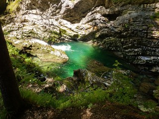 Gorges de Vintgar, Slovénie