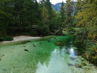 Bohinj lake in Slovenia mountain
