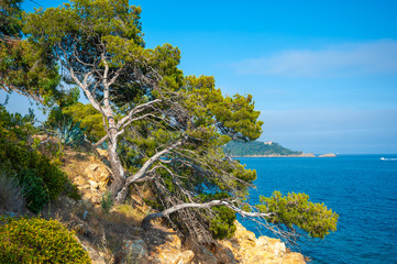 Landscape on Pointe du Layet in Le Lavandou