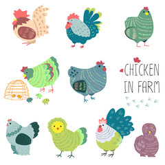 Chicken in farm