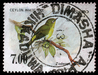 Stamp printed in the Republic of Sri Lanka shows the Sri Lanka white-eye bird, Zosterops...