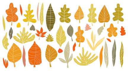 Leaf collection2