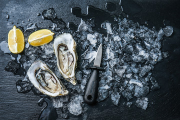 Tasty raw oysters with ice and lemon on dark background