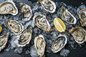 Tasty raw oysters with ice and lemon on dark background