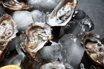 Tasty raw oysters with ice on dark background