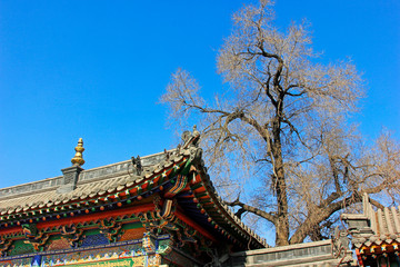 Gray roof in the Five Pagoda Temple, China