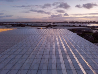 aerial of agricultural greenhouses in the Netherlands