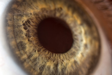 extreme macro of human yellow eye