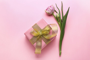 Festive gift box and flowers on color background