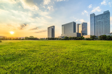 green lawn with city skyline background, shanghai china
