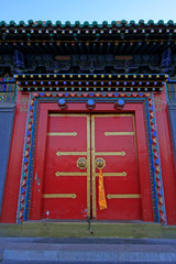 Decorative pattern on door plank in a temple