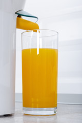 Juicer with a glass of fresh orange juice in a modern kitchen.