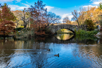 Central Park