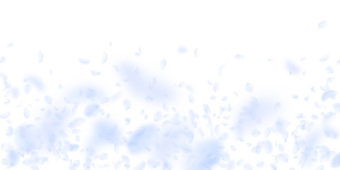 Light blue flower petals falling down. Ecstatic ro