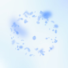 Dark blue flower petals falling down. Wondrous rom