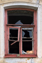  red cat sleeping in a broken window of an abandoned house