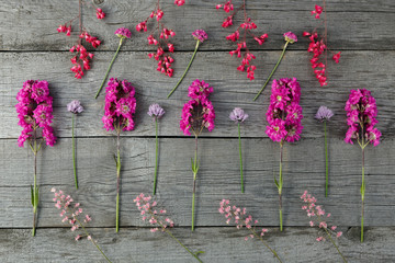 The blooming flowers against the background of old boards with a texture.