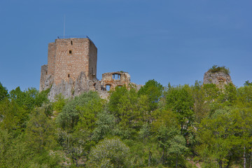 Fototapeta na wymiar Die Ruine der Burg Landskron steht im Oberelsass auf dem Landskronberg an der Schweizer Grenze in der französischen Gemeinde Leymen.