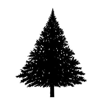Christmas Trees Pictogram