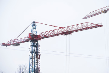 Tower cranes in a winter day