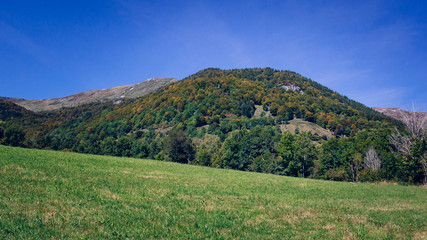 Naklejka premium The hill and the meadow