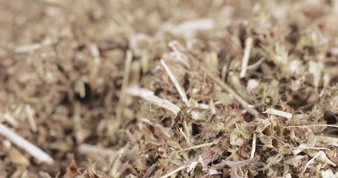 Motherwort grass in bulk