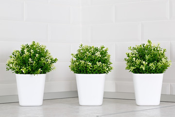 Artificial plants for decoration in the kitchen.