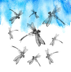 Watercolor illustration. Dragonfly flies against the blue sky. Abstract paint splash. Stylish drawing. Dragonfly Graphic Realistic Line Ink Drawing. Hand-drawn illustration.  Watercolor card.
