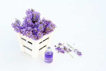 Fresh lavender in white basket and lavender essential oil on white wooden background.