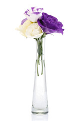 Bouquet of colorful eustoma flowers in a glass vase isolated on white background.