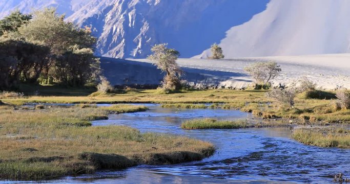 River flows through Nubra Valley desert in Ladakh, India. Beautiful nature of northern indian regions