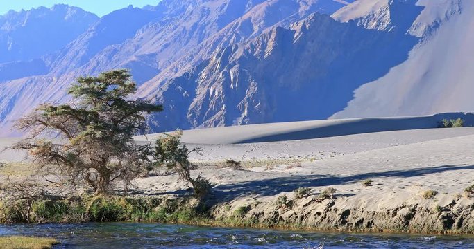 Nubra valley scenery nature landscape in India, Ladakh and Kashmir region. Scenic view of river stream in desert sand against high rocky Himalaya mountains