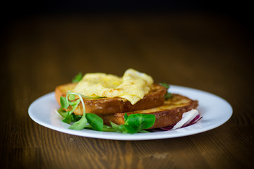 fried croutons in eggs with fried egg in a plate