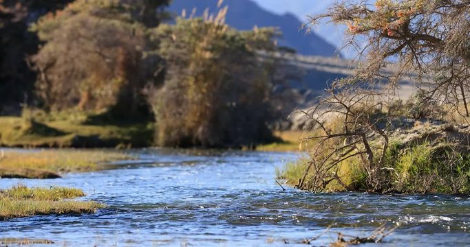 4K 60p video of flowing water stream of small river in Nubra Valley, Ladakh, Northern India. Beautiful nature background