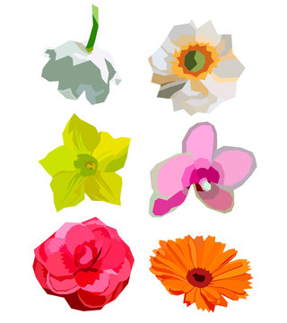 low-water flowers. A set of 6 different color images