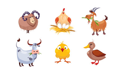 Cute cartoon farm animals set, sheep, hen, goat, cow, duck, vector Illustration