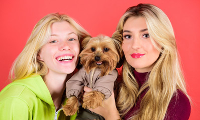 Blonde girls adore little cute dog. Women hug yorkshire terrier. Yorkshire terrier is very affectionate loving dog that craves attention. Cute pet dog. Yorkshire Terrier breed loves socialization