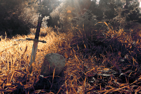 mysterious and magical photo of silver sword over England woods or field landscape with light flare. Medieval period concept