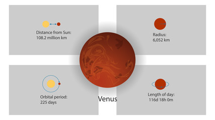 Venus infographics vector. Planets of the Solar System vector illustration © alionaursu