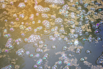 Bubbles on the surface of water