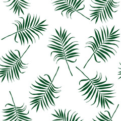 Fototapeta na wymiar Jungle tropical seamless pattern. Hand-drawn green palm leaves on white background. Template for design, postcards, print, poster, party, template, summer background, textile. Vector.