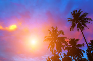 Fototapeta na wymiar Sunrise Tropical bounty