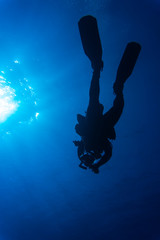 Diver underwater in deep blue sea. Man in diving gear dives up to water surface. Open water diving lesson. Beautiful ocean with sun rays in water. Diver man silhouette undersea photo. Seawater view