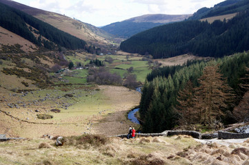 Ireland.Spring in the Wicklow Mountains.