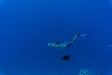 Young man snorkeling exploring underwater coral reef landscape background in the deep blue ocean with colorful fish and marine life