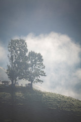 foggy summer landscape in the mountains, Salciua, Romania