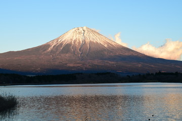 Fototapeta premium 富士山 田貫湖