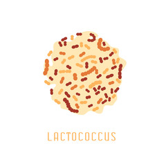 Lactobacillus acidophilus image