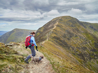 Obraz premium A hiker decending Sail and walking along The Scar towards Crag Hill in the Derwent Fells in the English Lake District.