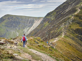 Fototapeta na wymiar A hiker decending Sail and walking along The Scar towards Crag Hill in the Derwent Fells in the English Lake District.